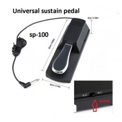 Wingo SP-100 pedal sustain